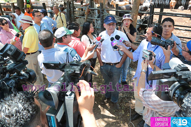 Inicia proyecto piloto de Diagn&oacute;stico de Fertilidad de Toros